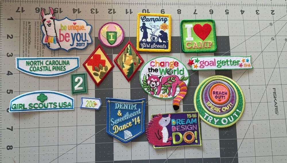 Lot of 15 Girl Scout Patches North Carolina Coastal Pines Goal Getter Llama Hedg